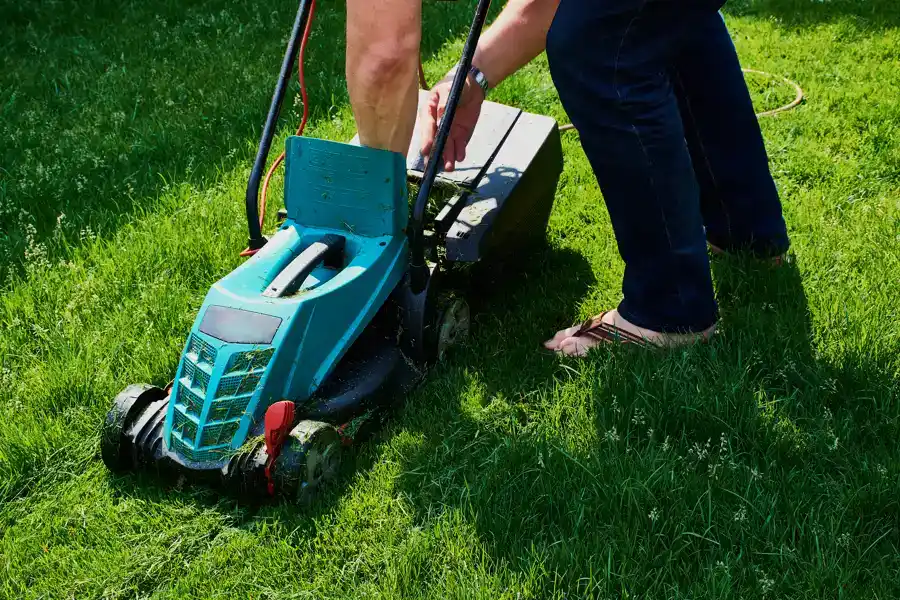 How Often Should I Mow My Lawn in Salem, OR