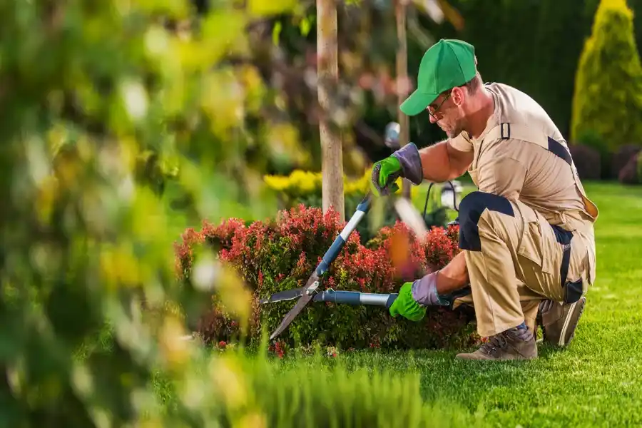 Lawn Care Tips Salem, OR