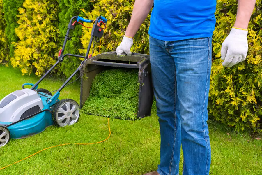 Lawn Care Tips in Salem, OR