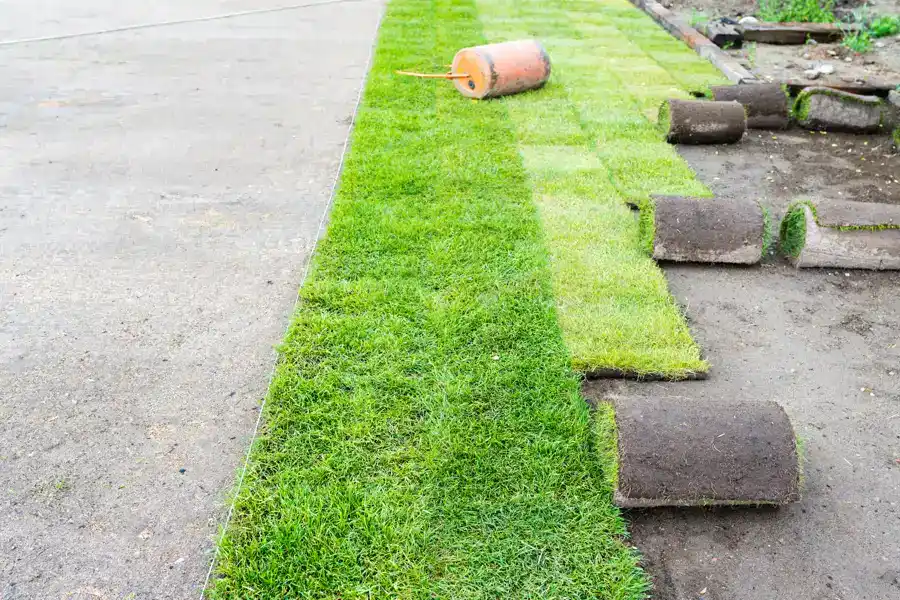 Low-Maintenance Lawn Ideas in Salem, OR